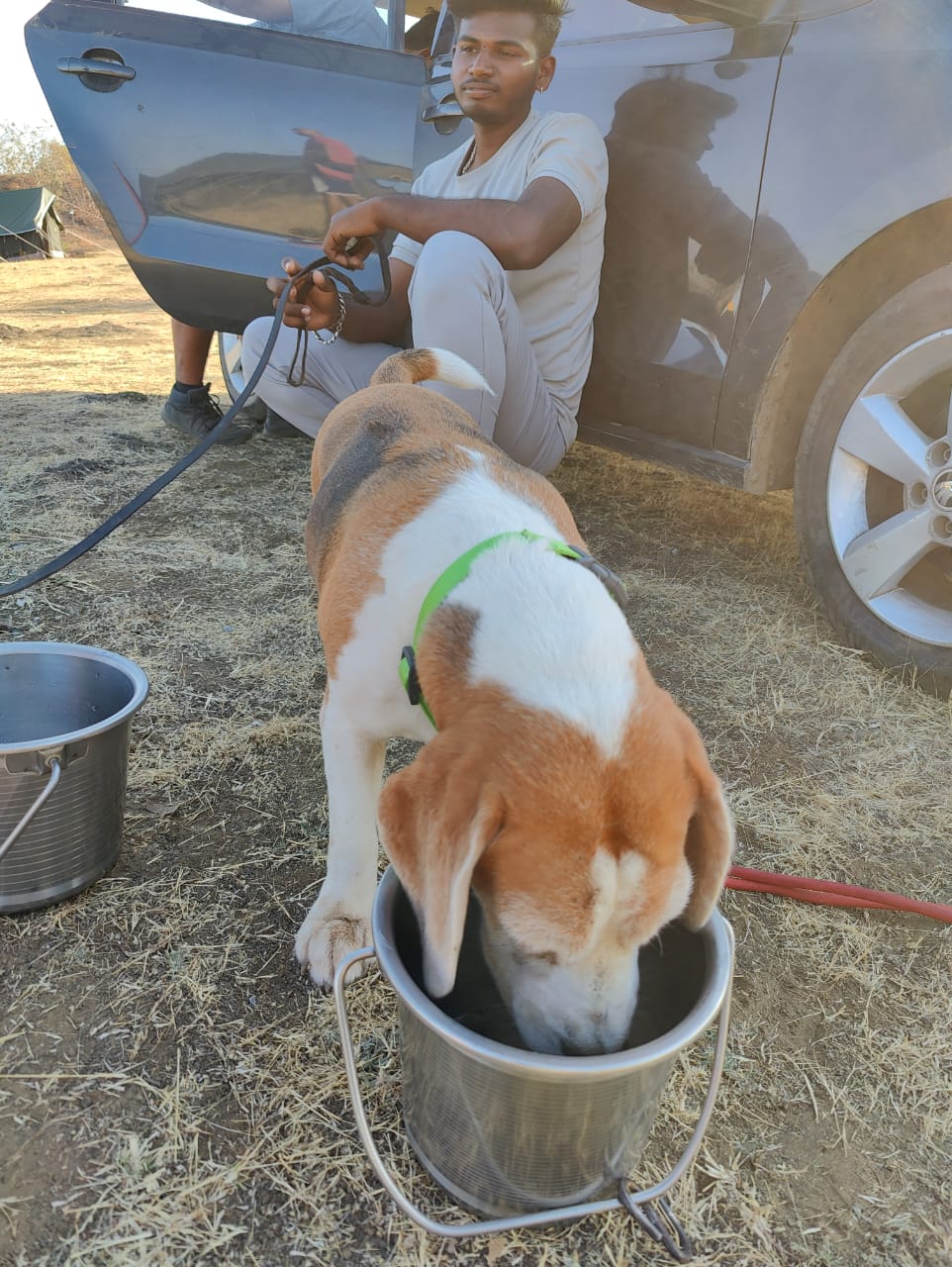 Furventures - Pet Adventures & Events - Photo 32